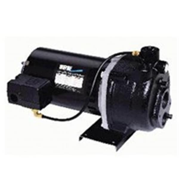 Wayne Wayne Pumps CWS75 0.75 HP Deep Well Jet Pump 6173611 Zoro